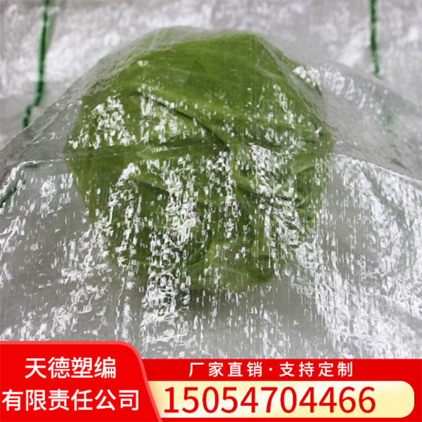 蔬菜袋-绿黑色43