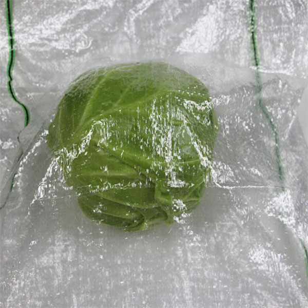 蔬菜袋-绿黑色19