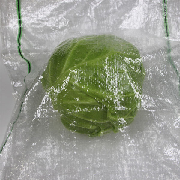 蔬菜袋-绿黑色17