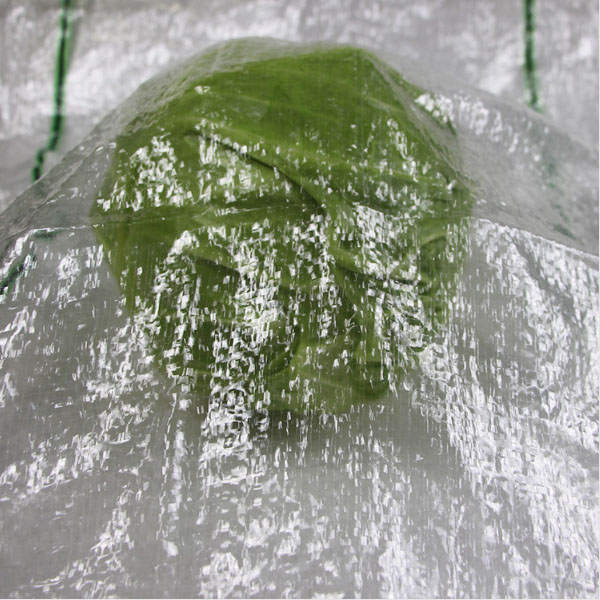 蔬菜袋-绿黑色15