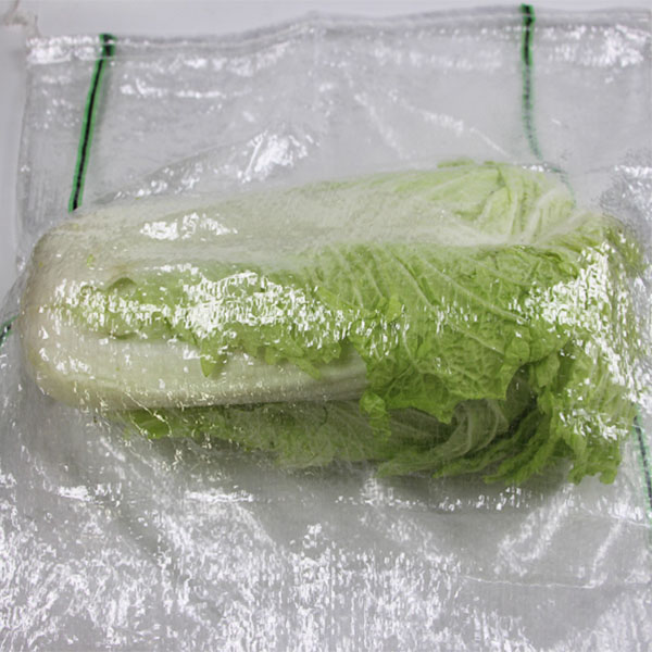 蔬菜袋-绿黑色11