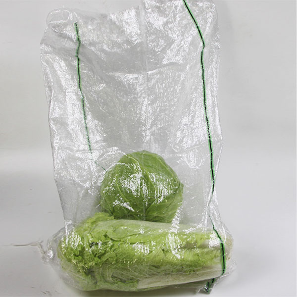 蔬菜袋-绿黑色05