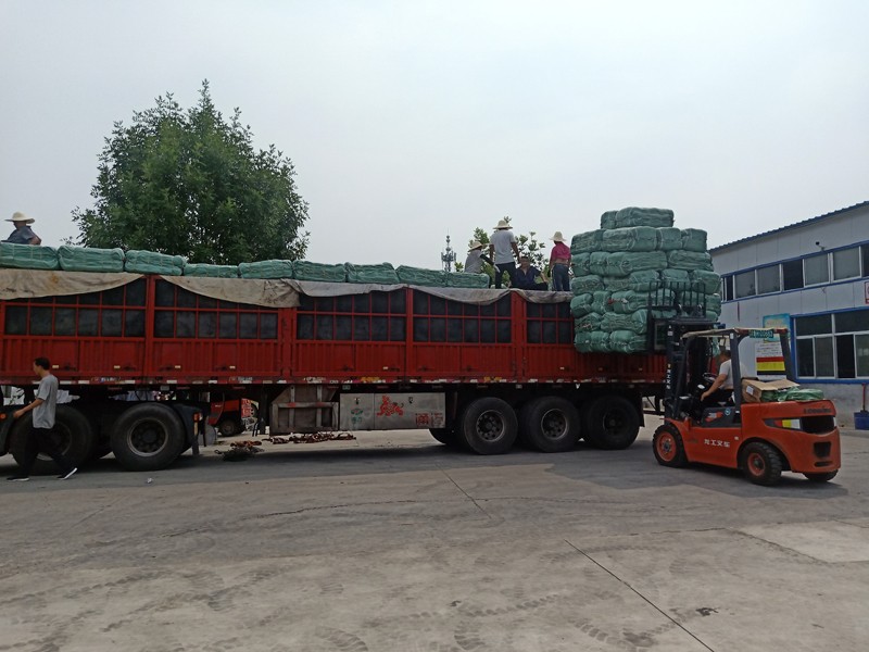 微信图片_2021081309062211